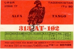 313AT102