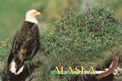33-ALASKA