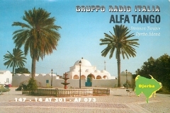 QSL-147-14AT301-AF-073