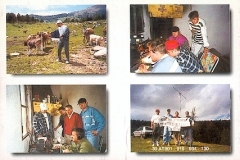 QSL-Lerida-03